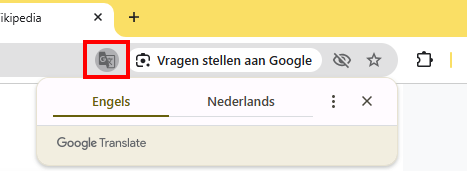Standaard vertalen Google